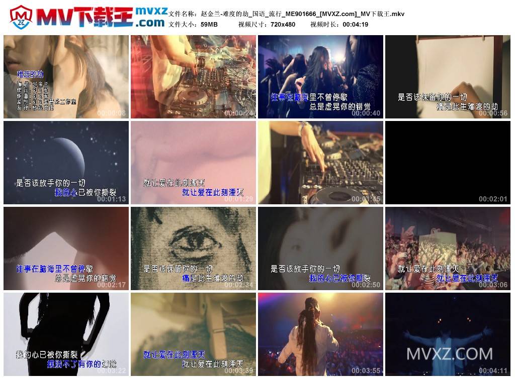 赵金兰-难度的劫_国语_流行_ME901666